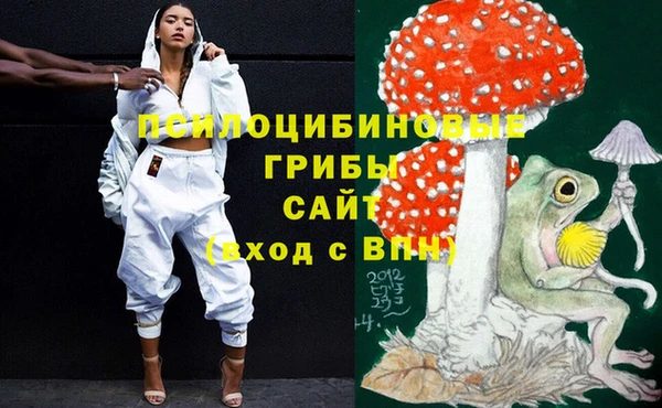метадон Магас