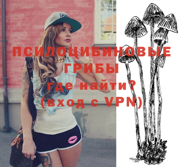PSILOCYBIN Магадан