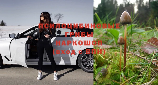 PSILOCYBIN Магадан