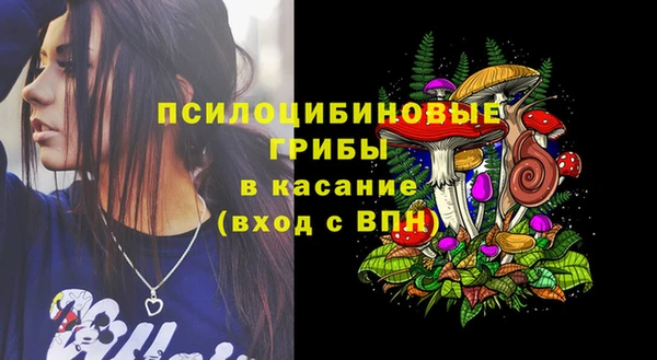 метадон Магас