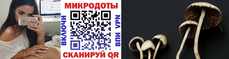 Купить где  Чехов  Псилоцибиновые грибы GOLDEN TEACHER 