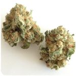 Шишки "White Widow"  (Белая вдова)  Гидропоника -  Бошка VHQ в Чехове